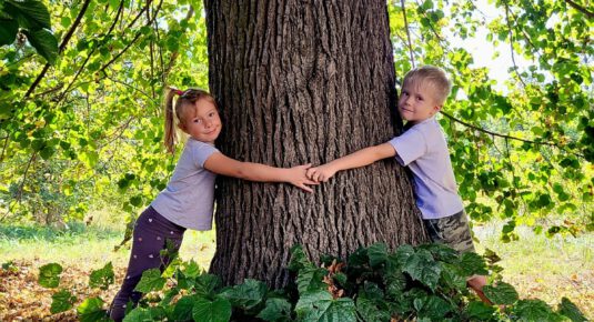 Przytul się do drzewa – strażnicy lasów